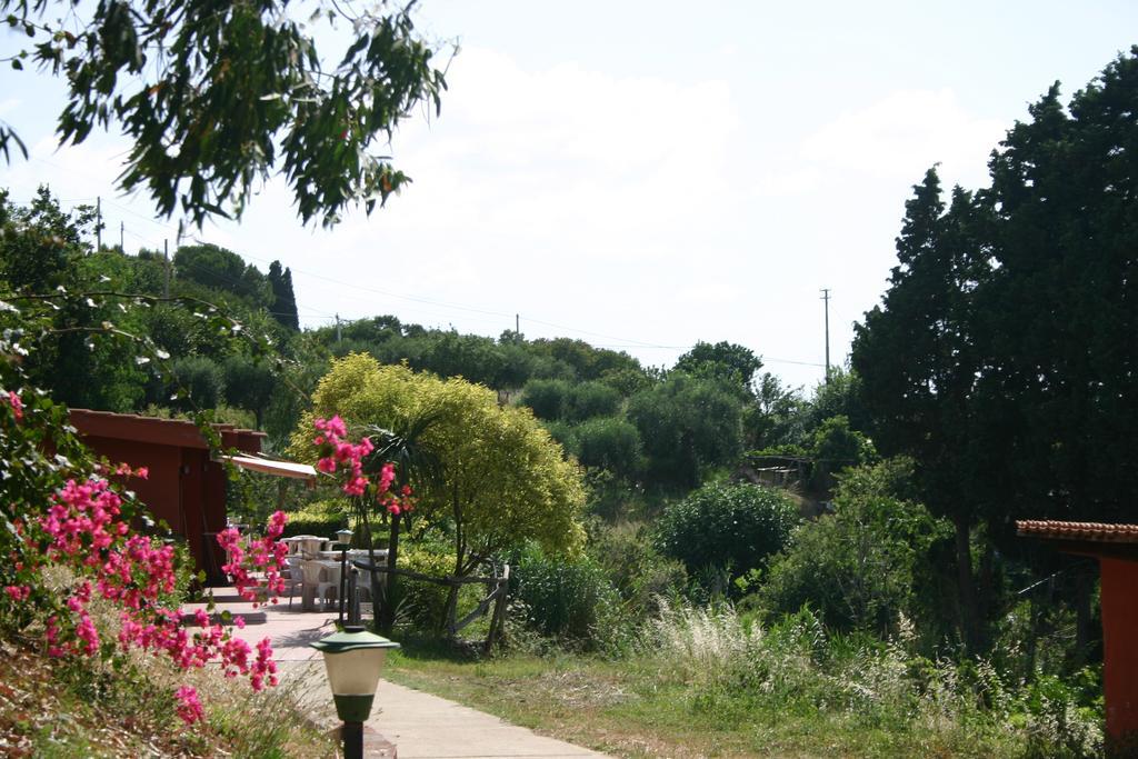 Agriturismo Ruralia Santa Domenica  Extérieur photo